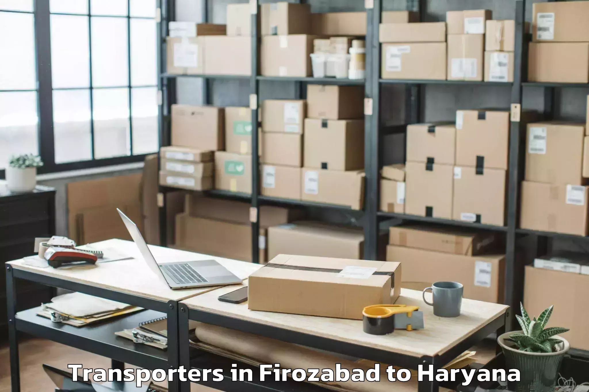 Top Firozabad to Chaudhary Charan Singh Haryana Transporters Available